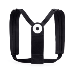 Laikysenos korektorius Blackroll Posture