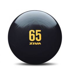 Gimnazija ZIVA ANTISPROGO CORE-FIT KAMUOLYS, 55 ir 65 cm