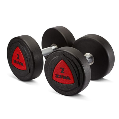 Dumbbell ZIVA profesionalas, uretanas, 2 kg (2 vnt.)