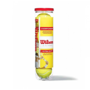 TENISO KAMUOLIUKŲ WILSONO ČEMPIONATAS, 4 GAB.