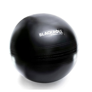 Gimnastikos kamuolys BLACKROLL GYMBALL 65CM