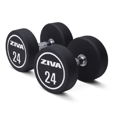 Dumbbell ZIVA XP Urethane Professional (2 vnt.)