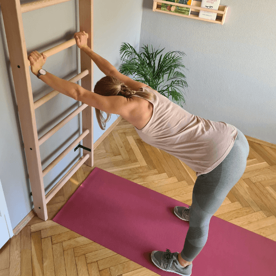 Gimnastikos sienelė BenchK 100 Series 1