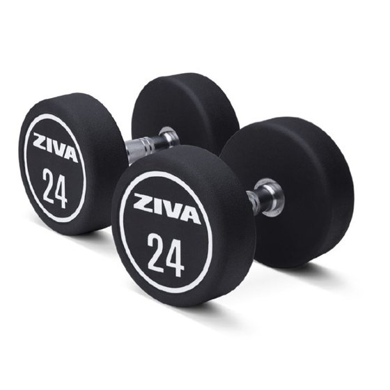 Dumbbell ZIVA XP Urethane Professional (2 vnt.)