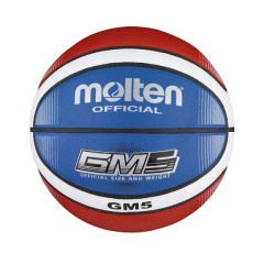 Krepšinis IŠLYDĖ GM5 treniruotes, vaikas, 5. SAVIKAINA