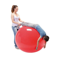 Fizinio krūvio kamuolys Physio Gymnic, 120 cm