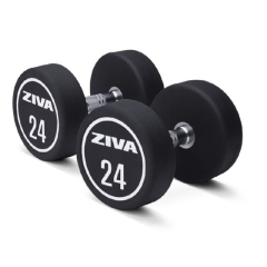 Dumbbell ZIVA XP Urethane Professional (2 vnt.)